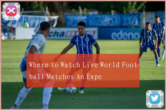 Where to Watch Live World Football Matches An Expe