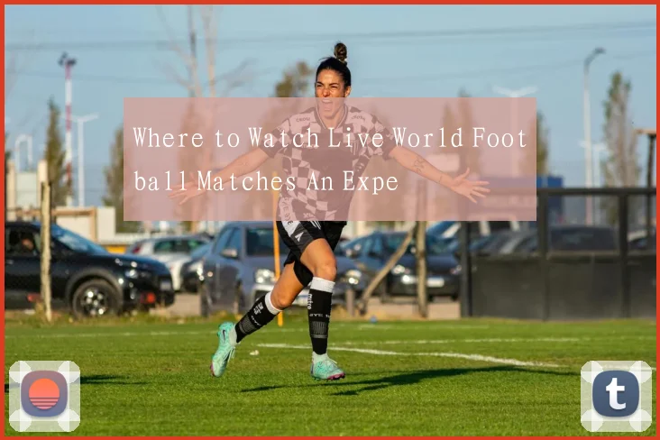 Where to Watch Live World Football Matches An Expe